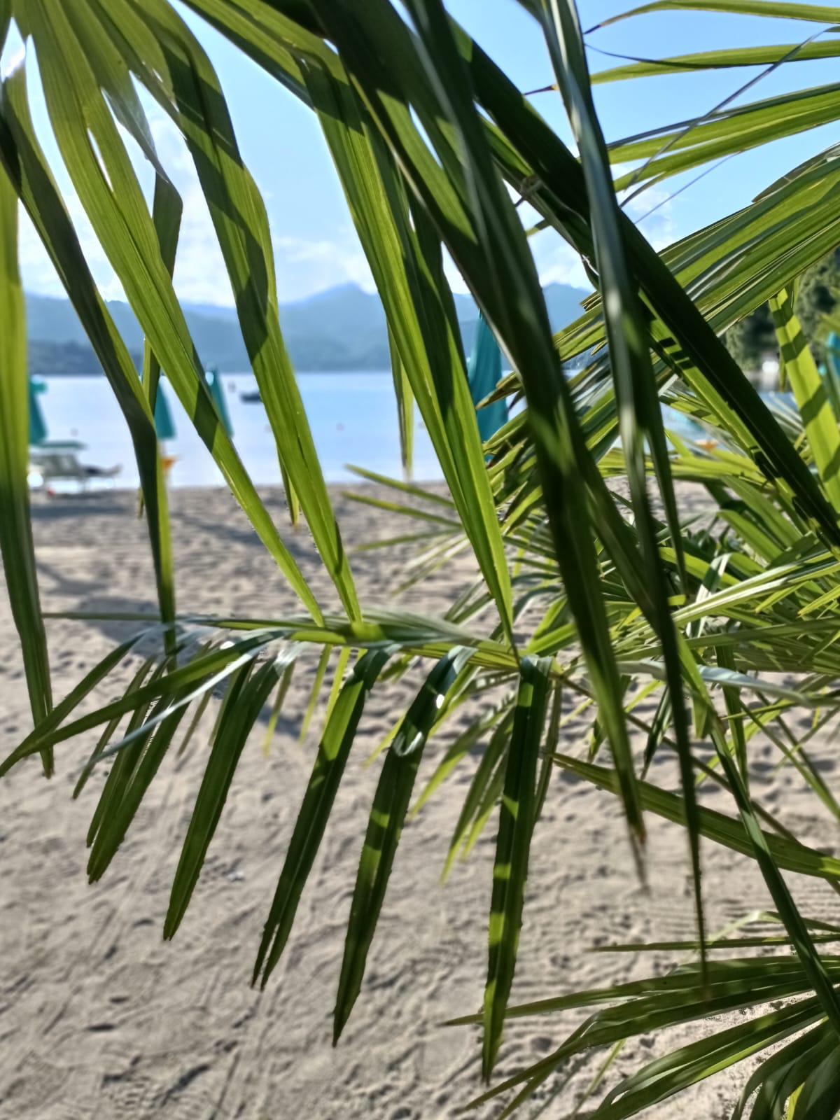 Spiaggia di sabbia fine